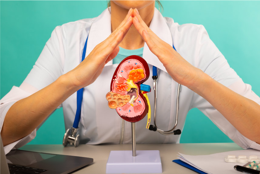 Stages of Chronic Kidney Disease – From Mild Damage to Kidney Failure